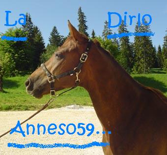 Annesoso59