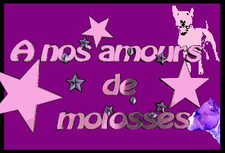 A NOS AMOURS DE MOLOSSES..