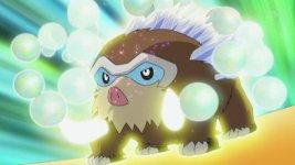 Pokemon saison 12 rencontre au sommet